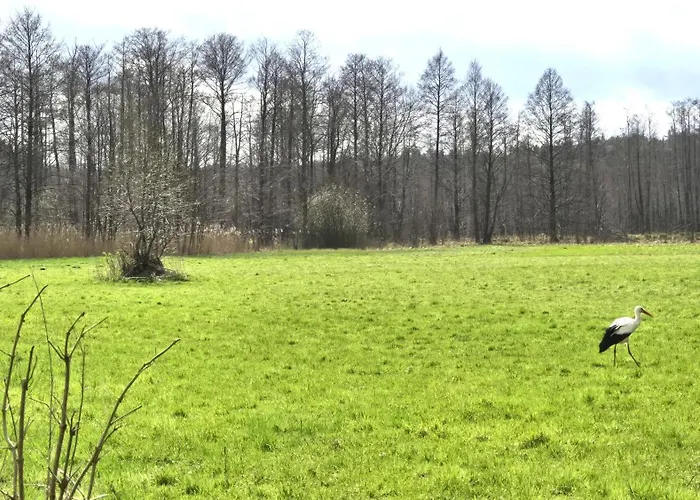 Mazury Apartament/dom Z Ogrodkiem Caloroczny Przy Jeziorze Sedansk